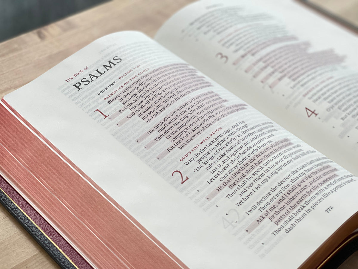Revival Ministries KJV or AMPC Stewardship Edition Bible