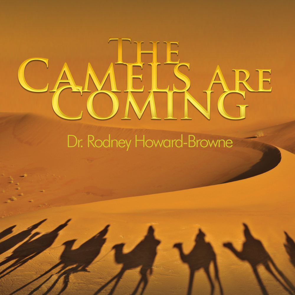 The Camels Are Coming