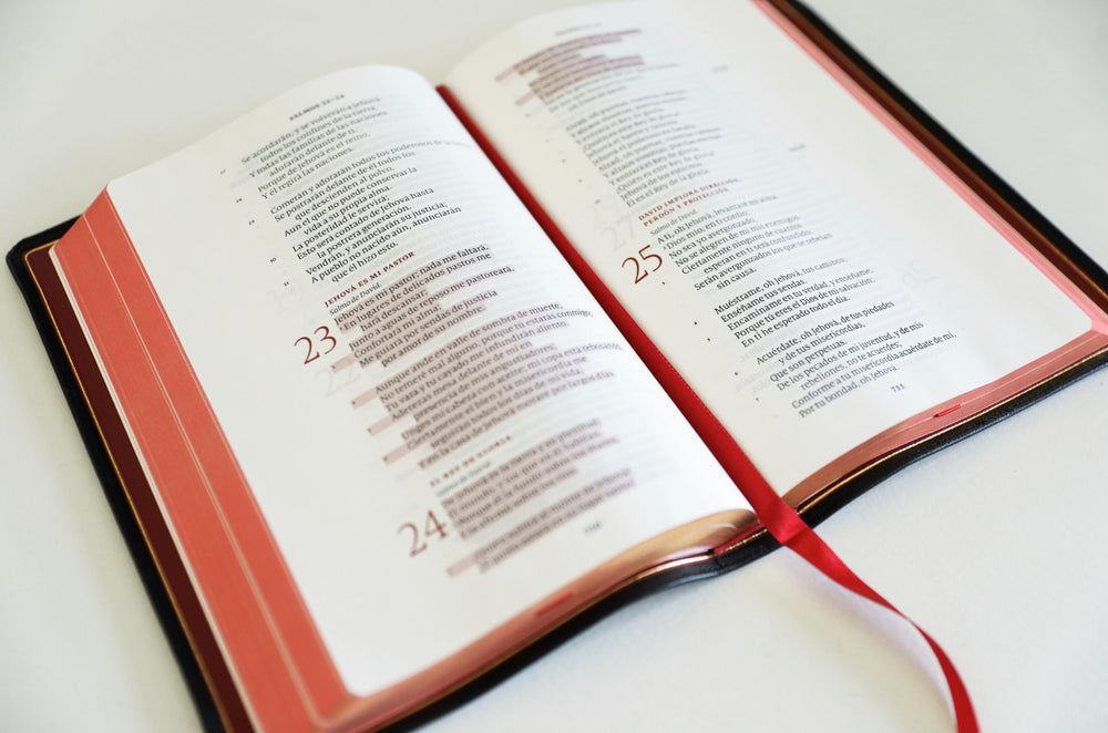 Revival Ministries Spanish Stewardship Bible